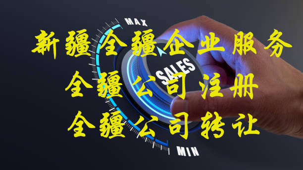 新疆全疆注册公司网上申请入口查询-1